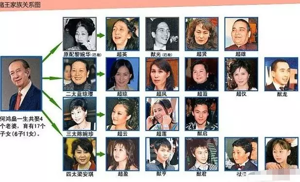 她是賭王何鴻燊最美女兒?精通法律艷壓名媛,為何卻襲擊3歲男童