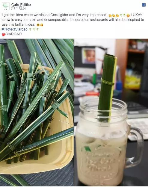 菲律賓推出「椰樹葉子製成的環保吸管」 製作過程「不到2分鐘可以救地球」網友讚爆!