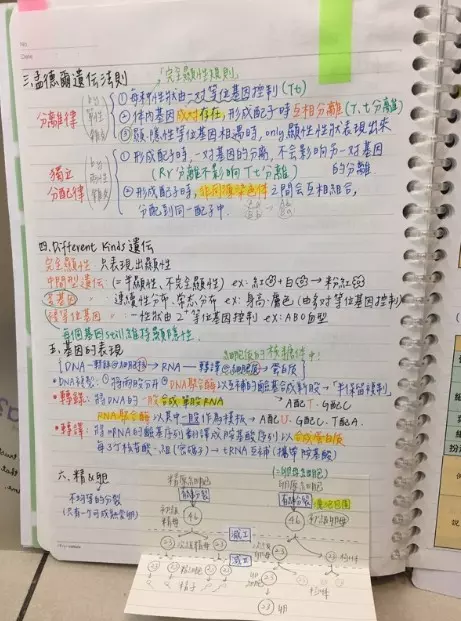 北一「超強學霸筆記」5個月狂賺百萬元 傳國稅局已鎖定「高度關注中」網驚:要查水錶了