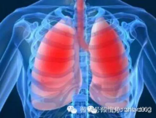 吸菸的人該吃什麼清肺?(為父親,丈夫,吸菸的朋友轉,會長壽幾十年)