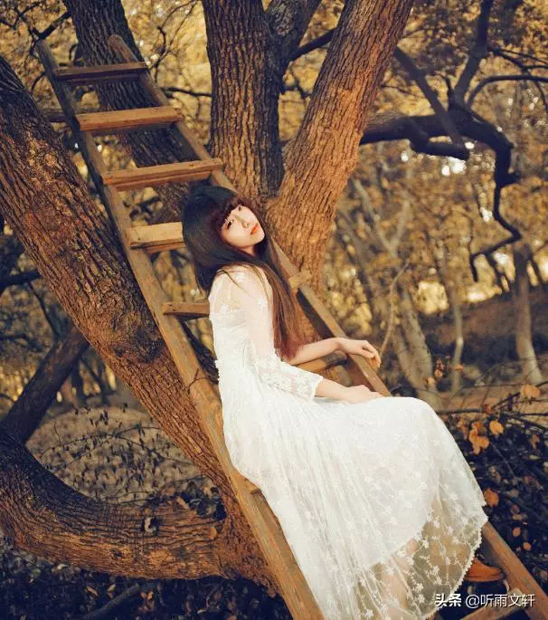 「媽,才離婚,你就來要房給弟弟結婚?」「等你們離婚三年了」