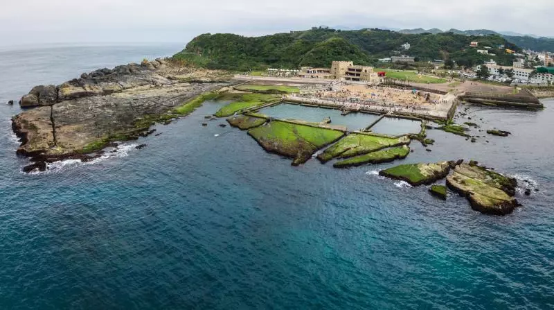 淡水龜遭棄外海再也不動了 背上刻「謝許素珠」4大字…網淚:牠很痛