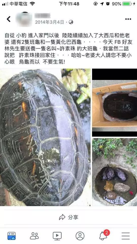 淡水龜遭棄外海再也不動了 背上刻「謝許素珠」4大字…網淚:牠很痛
