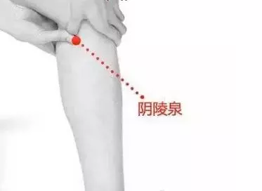 小腿上自帶3個祛濕穴,每天按摩10分鐘,祛濕健脾消水腫,濕氣沒有了人也漸漸瘦下來了