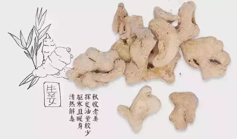 養生先養腳,夏季每天這麼泡腳 ,逼出體內寒濕,全身通暢百病消!