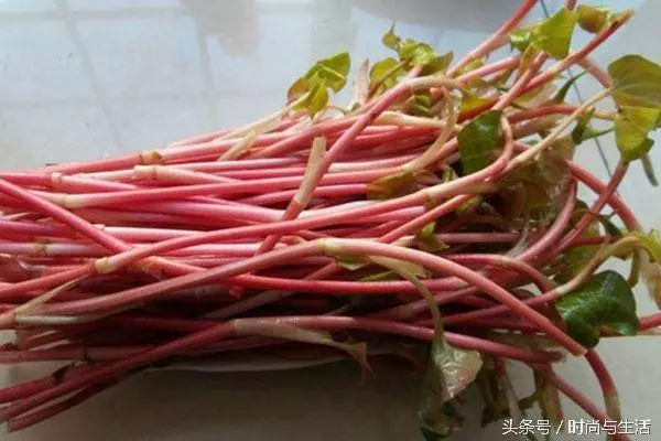 喜歡吃苦瓜的人注意了,吃錯苦瓜對身體不好,告訴家裡做飯的人