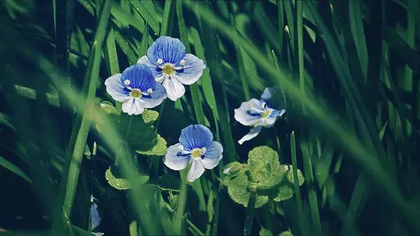 善待每一個遇見,珍惜每一份情緣