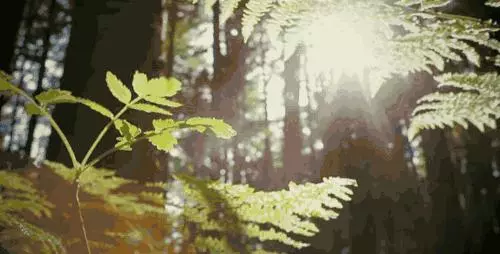 善待每一個遇見,珍惜每一份情緣