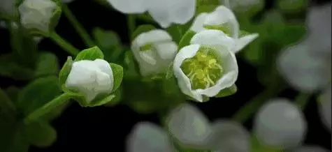 善待每一個遇見,珍惜每一份情緣