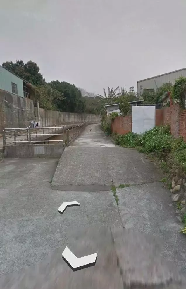 狗狗離開世界當天使多年,主人偶然打開街景地圖竟然看到了牠,瞬間淚奔