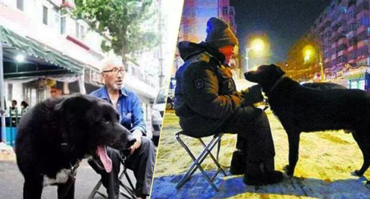狗狗陪伴70歲老爺爺11年,擔心自己仙游後愛犬無人照顧,後來他通過電話感動到志工