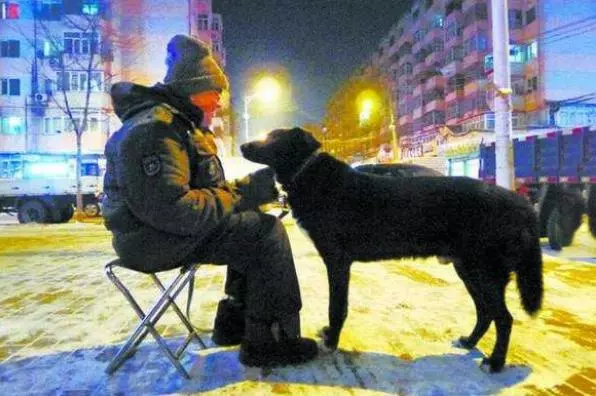 狗狗陪伴70歲老爺爺11年,擔心自己仙游後愛犬無人照顧,後來他通過電話感動到志工