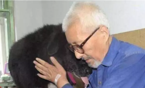 狗狗陪伴70歲老爺爺11年,擔心自己仙游後愛犬無人照顧,後來他通過電話感動到志工