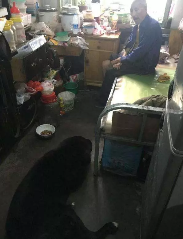 狗狗陪伴70歲老爺爺11年,擔心自己仙游後愛犬無人照顧,後來他通過電話感動到志工