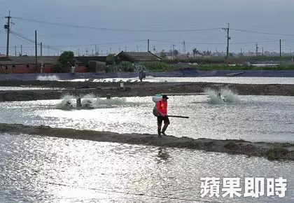 嘉義黃金單身漢相親慘被OL嗆:「你養魚的哦,那你養不起我!」他氣炸回嗆這句話霸氣神打臉!