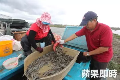 嘉義黃金單身漢相親慘被OL嗆:「你養魚的哦,那你養不起我!」他氣炸回嗆這句話霸氣神打臉!