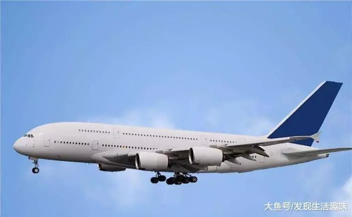 全球''最短''的航班, 全程只有90秒, 乘客: 還沒找到座位就到了!