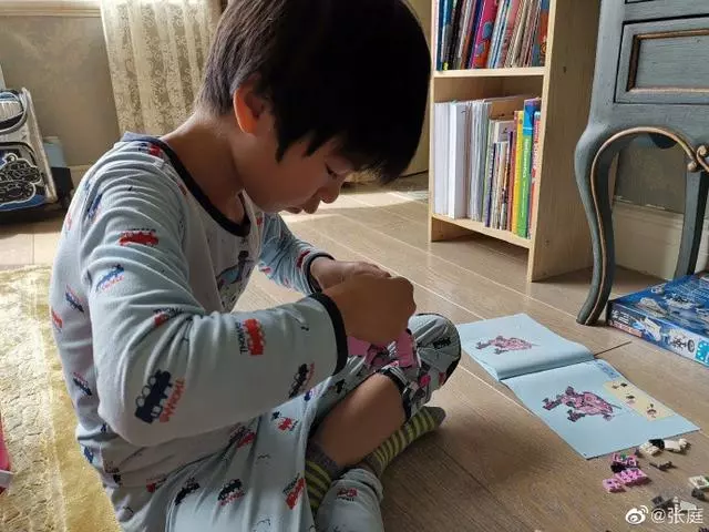 張庭曬7歲兒子帥氣照片,手裡的玩具吸引了網友的注意!