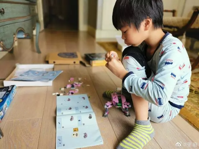 張庭曬7歲兒子帥氣照片,手裡的玩具吸引了網友的注意!