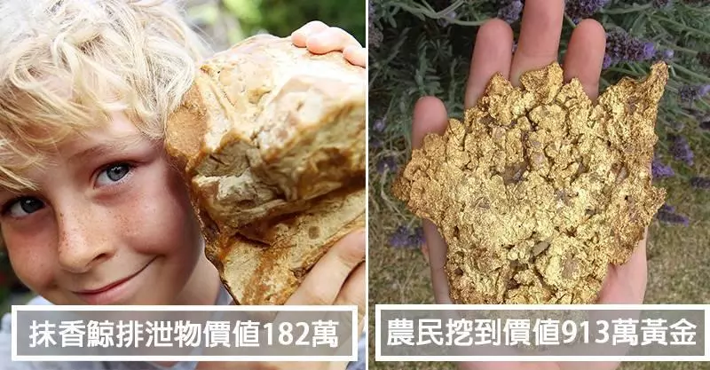 10個「亂撿垃圾」不小心撿到變億萬富翁的超級幸運兒!今天就回家看看家裡附近的垃圾場吧...