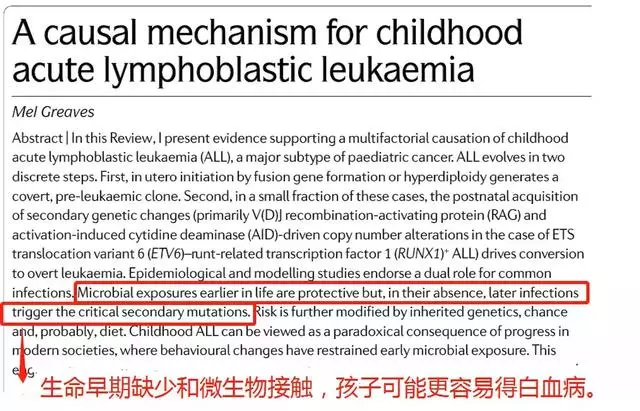 倫敦癌症研究所:孩子「太乾淨」易得白血病,家長注意