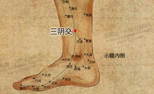 每天三分鐘「排毒穴道」輕鬆按:清腸道、顧肝臟,體內廢棄物質掃光光