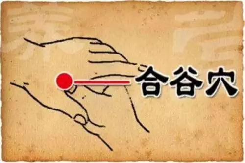 每天三分鐘「排毒穴道」輕鬆按:清腸道、顧肝臟,體內廢棄物質掃光光