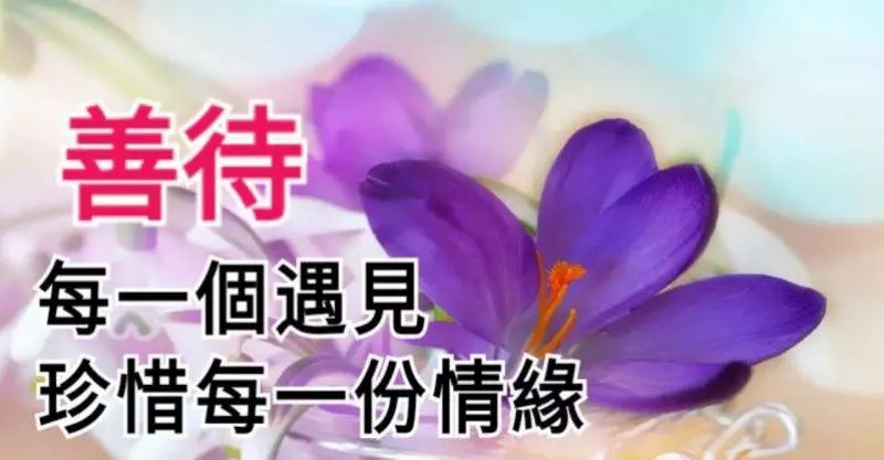 請善待,在這個世界上的每一個遇見。