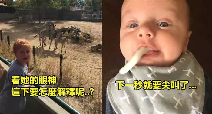 網友分享19張拍照者很希望時間能倒退一秒的超爆笑慘烈照片