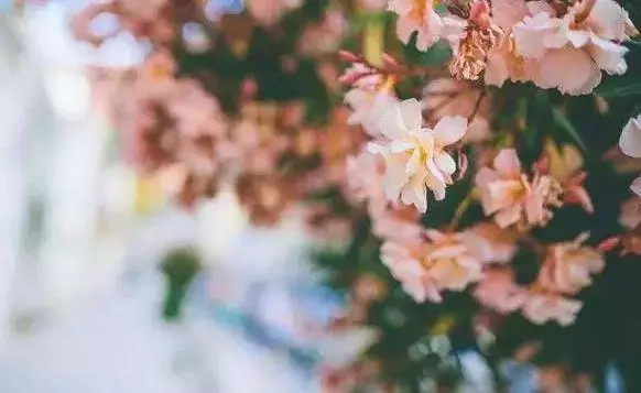 道不同,不相為謀,心不同,沒有共鳴,人生苦短,沒必要把太多人請進生命裡