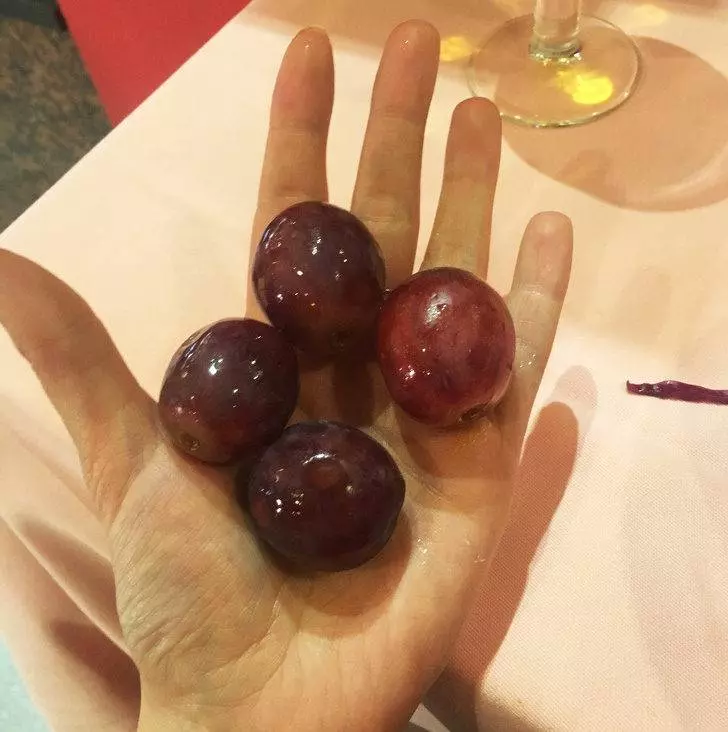 19張證明「上帝就是愛玩惡作劇」的驚奇照片 金色斑點的大麥町根本是神犬!