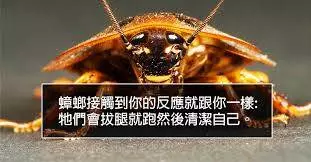 20個看完你會「感謝小編幫你省下GOOGLE時間」的其實很重要冷知識。