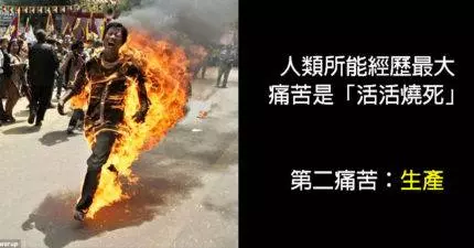 22個讓你恨不得「變成龍蝦移居大海」的地表最驚悚事實