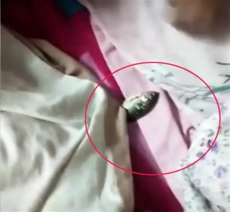 兒子房間飄來「那股濃厚腥臭味」!媽媽手刀衝進房間掀開被子…猛然嚇傻了:這啥!