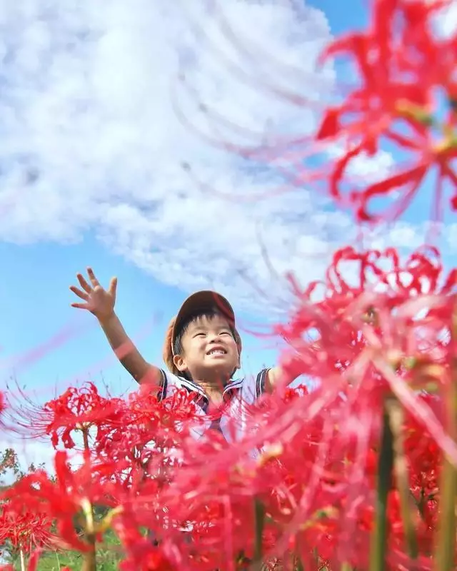 日本媽媽「偷拍兒子3年」!她「放棄工作回歸家庭」逆襲成攝影大神 網友大讚:專屬童話藏在笑容裡