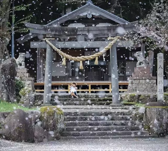 日本媽媽「偷拍兒子3年」!她「放棄工作回歸家庭」逆襲成攝影大神 網友大讚:專屬童話藏在笑容裡