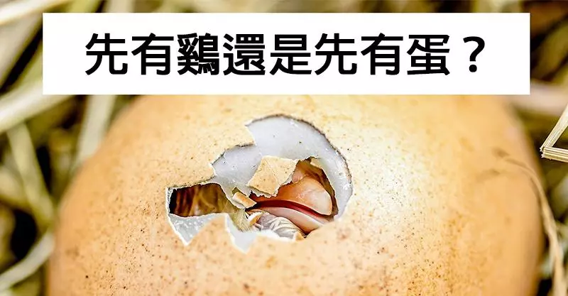 10個「從小就困擾著你的疑惑」最終解答 斑馬是黑的還是白的?