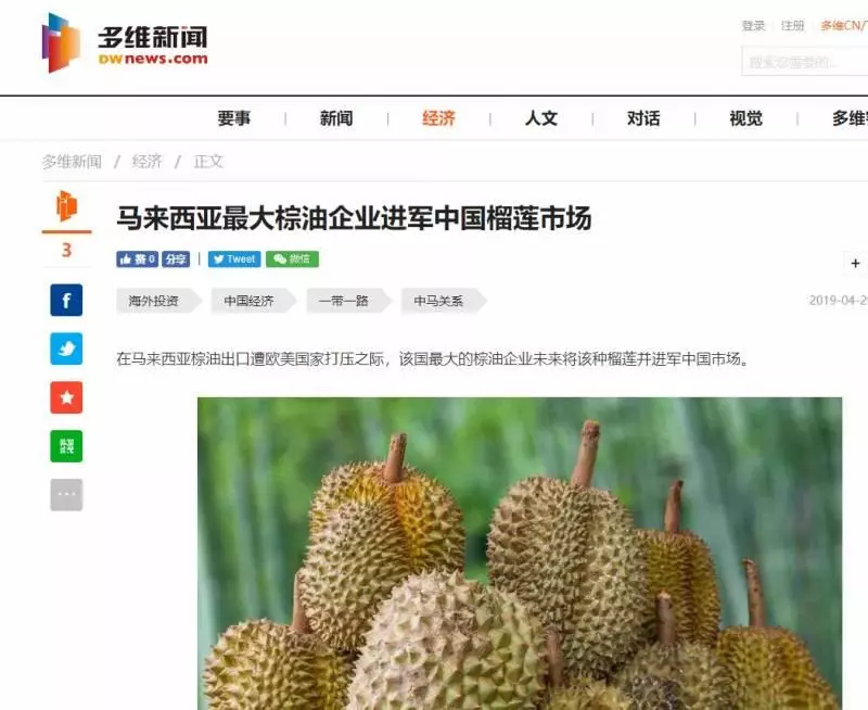 新加坡榴槤要漲價?!馬來西亞撥地種榴槤,準備進軍中國