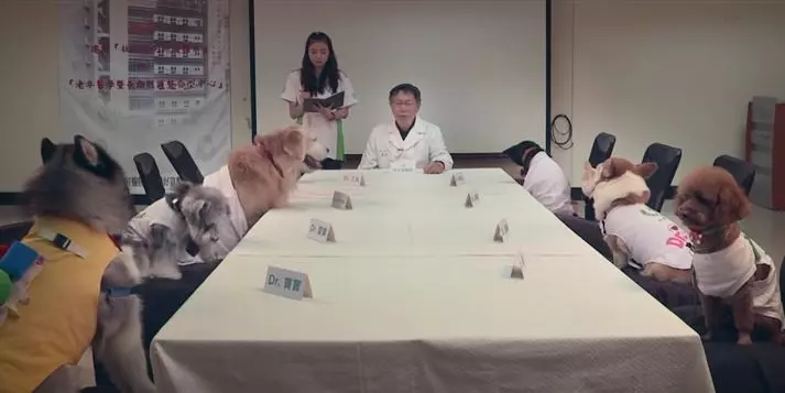 柯文哲下令從「動物之家」挑走30隻浪浪!得知「背後動機」...網友瞬間讚爆!