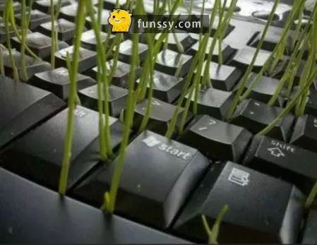 21個同事做過超煩的惡作劇... 一起來笑笑吧!