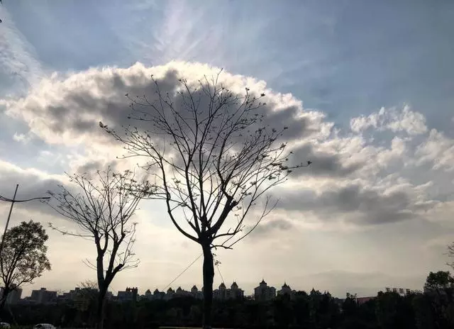 攝影師無意抓拍的照片,沒有PS,都是巧合!
