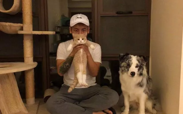 訓犬本質並非暴力,教育時要注意這三個部位,粗暴行為將誤傷愛犬