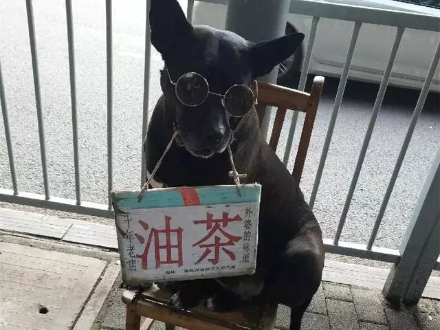 黑狗每日陪主人出攤,風雨無阻幫忙售賣早飯,給家裡減輕負擔