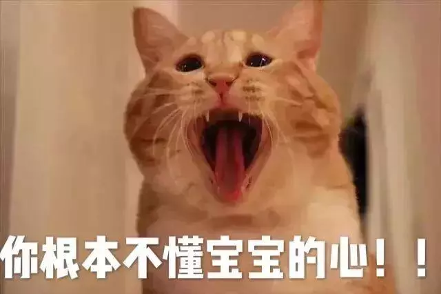 給貓狗吃生骨肉並不會增加攻擊性,生肉正確清潔後利於健康