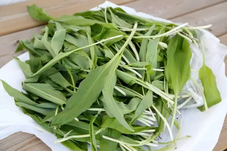 這樣做韭菜盒子,再不怕韭菜出水了,特簡單,快收藏