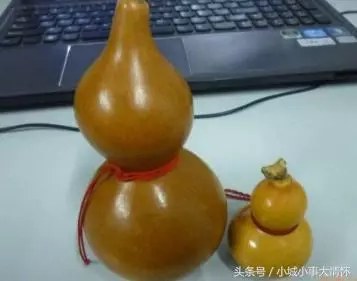客廳若是放上這3寶,預示著兒女升官發財,財神爺都不願意走!