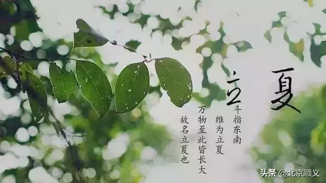 今日立夏,這些講究和養生知識點全在裡邊~別忘了吃這立夏蛋