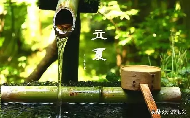 今日立夏,這些講究和養生知識點全在裡邊~別忘了吃這立夏蛋