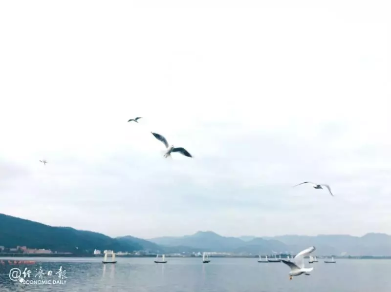 成年人的世界,什麼情緒什麼命