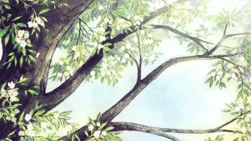 成年人的世界,什麼情緒什麼命